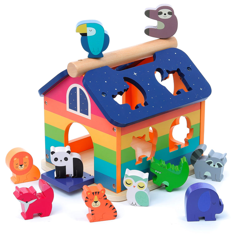 Ensemble complet VILAC : boîte à formes arc-en-ciel et 10 animaux colorés Montessori.