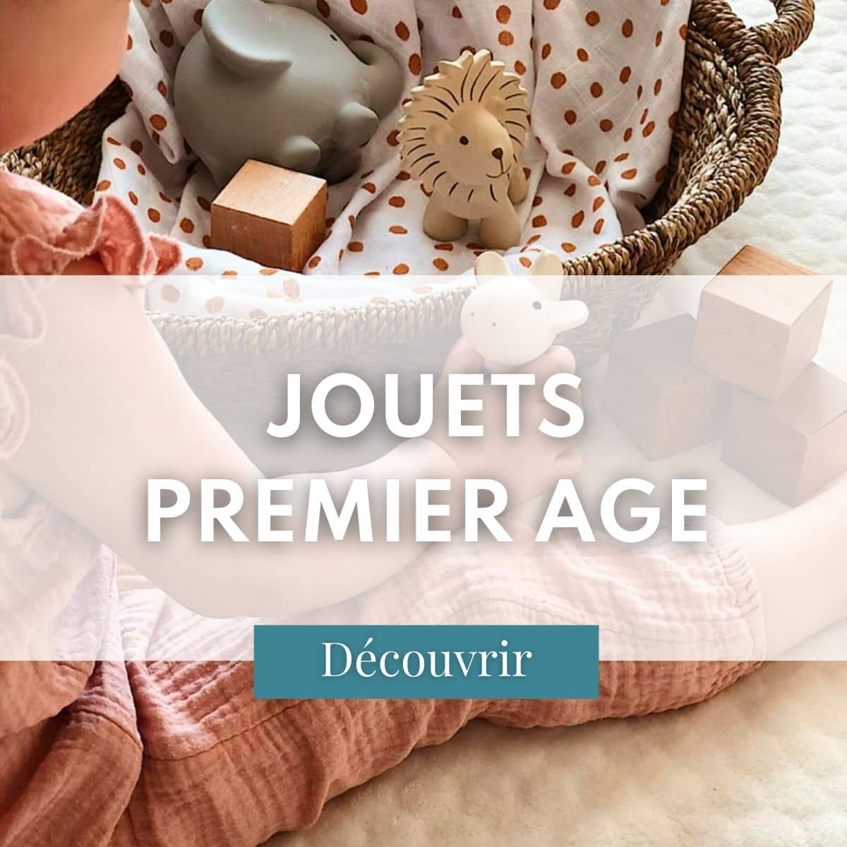 Jouets premier âge