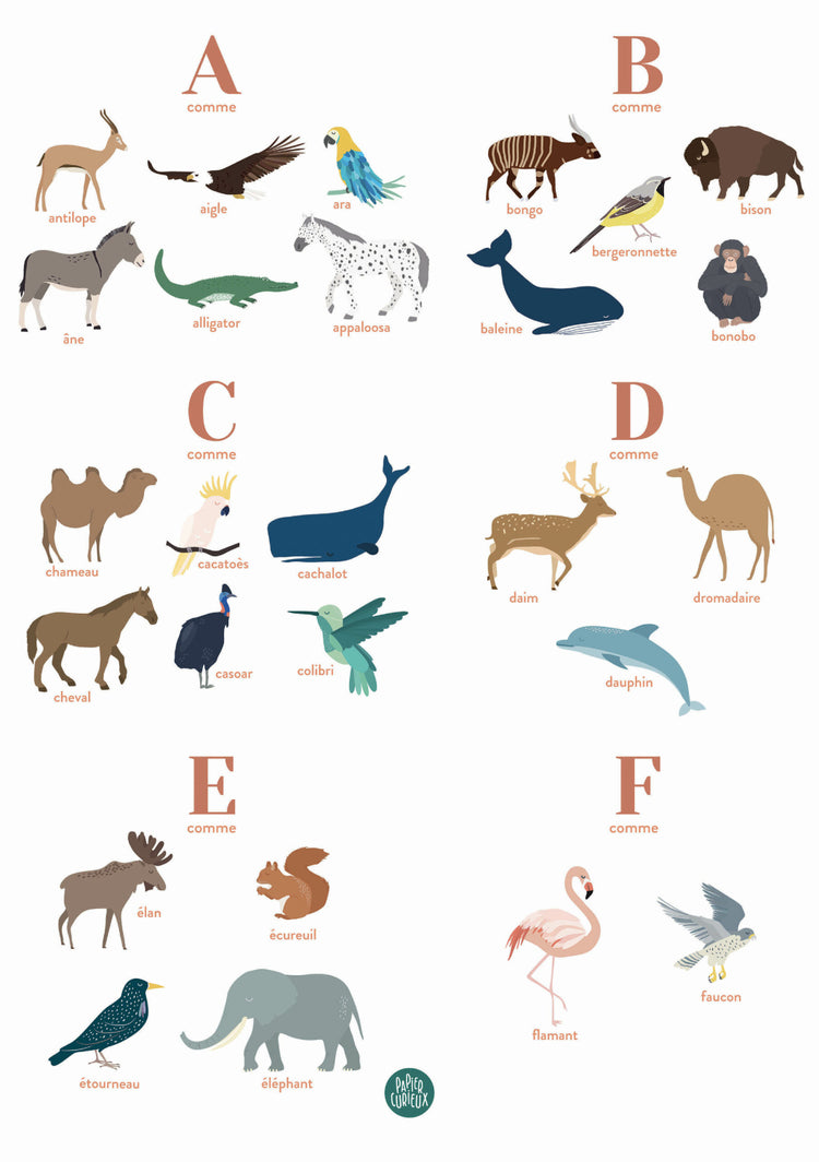 Affiche animaux chambre bébé - made in France