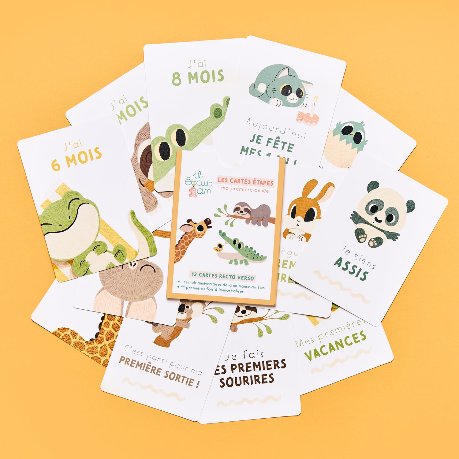 Cartes étapes bébé, retraçant les premiers mois de bébé (recto) avec de jolis personnages animaux attachants mais également ses premières fois (verso) ; première sortie, premières vacances, premier sourire etc. Cartes étapes réunies dans un étui cartonné. Premières fois, cadeau de naissance.
