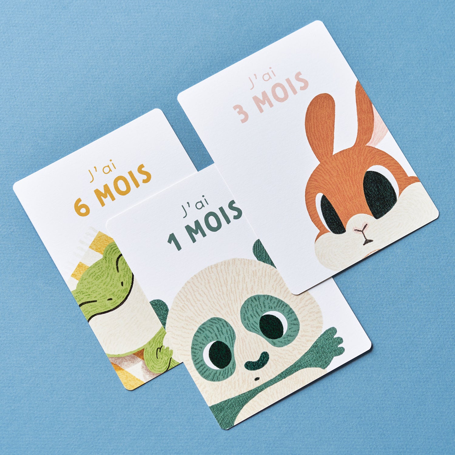 Cartes étapes bébé retraçant les premiers mois : j'ai 1 mois (panda), j'ai 3 mois (lapin), j'ai 6 mois (grenouille). Dessins doux, couleurs délicates. Personnages attachants.