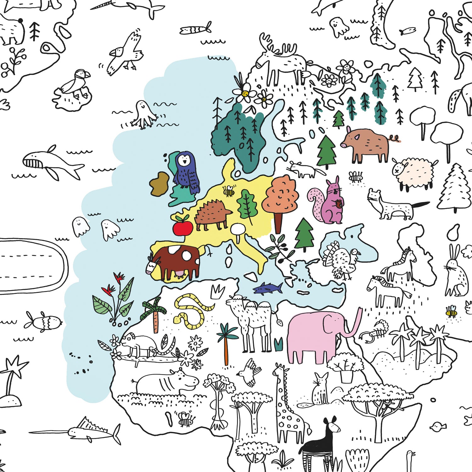 Zoom sur les illustrations de l'Europe et de l'Afrique sur le poster géant à colorier représentant la carte du monde et les animaux du Monde.
