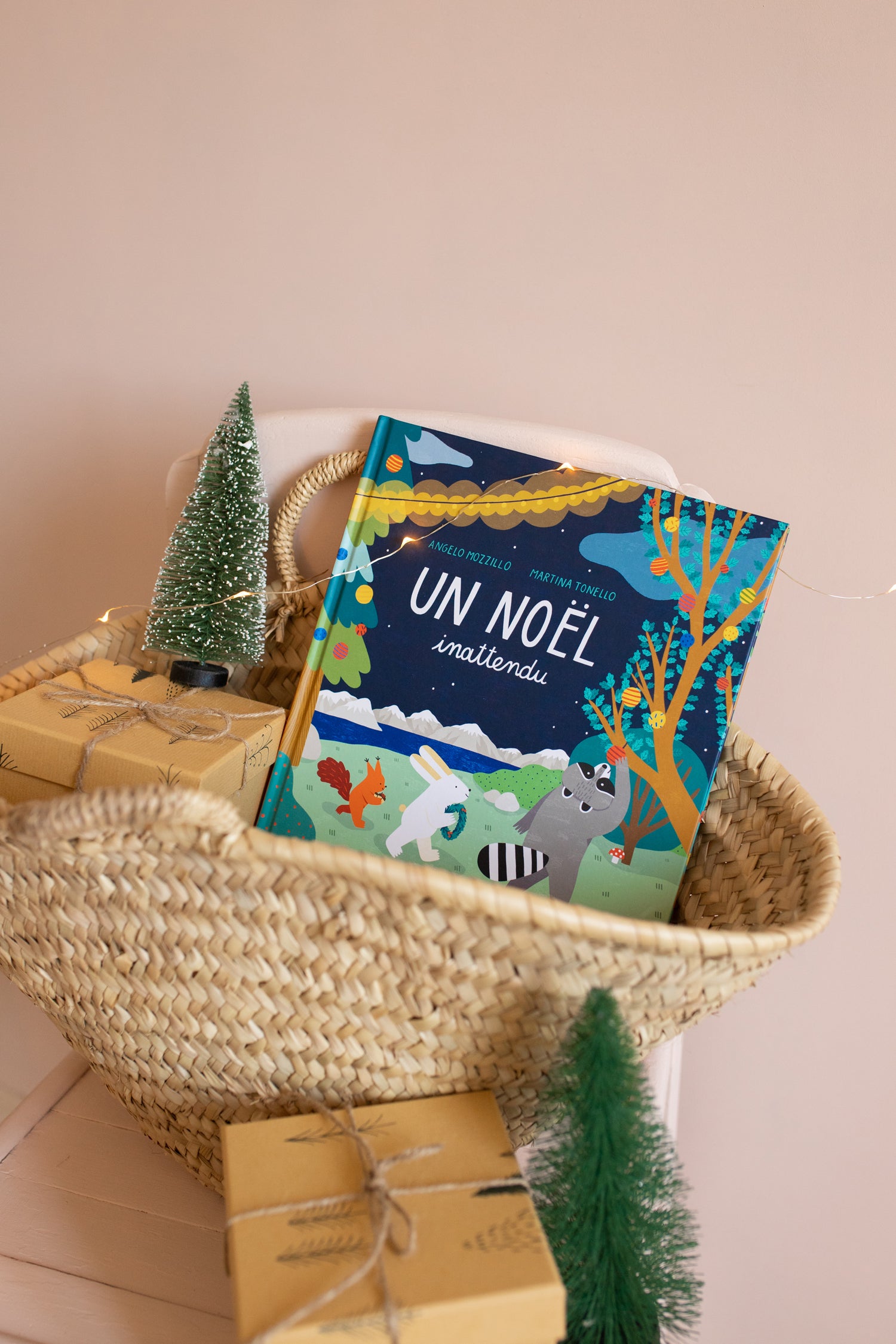 Histoire de Noel pour enfant dès 3 ans : un Noel inattendu. Palomita. Made in France.