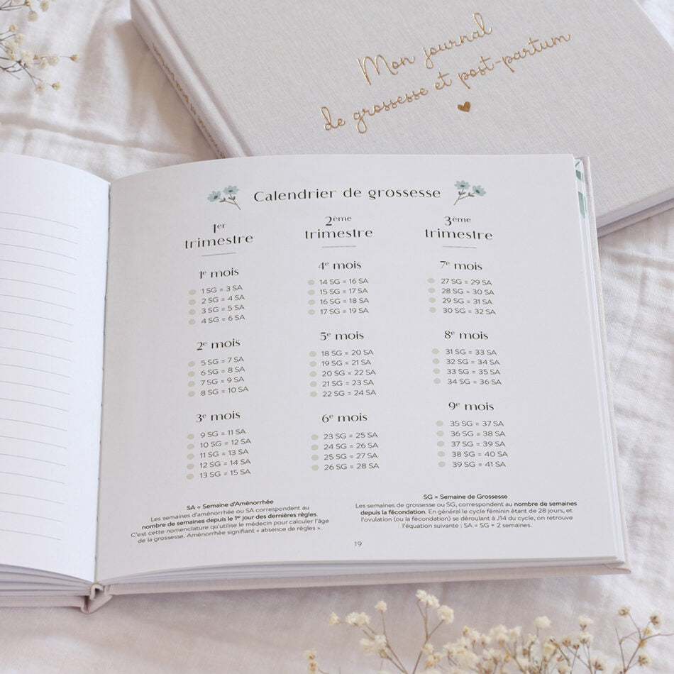 Mon Journal De Grossesse élégant - Livre à Compléter Mois Par Mois, Souvenirs, Photos, Suivi Bébé - Idée Cadeau Future Maman - 11