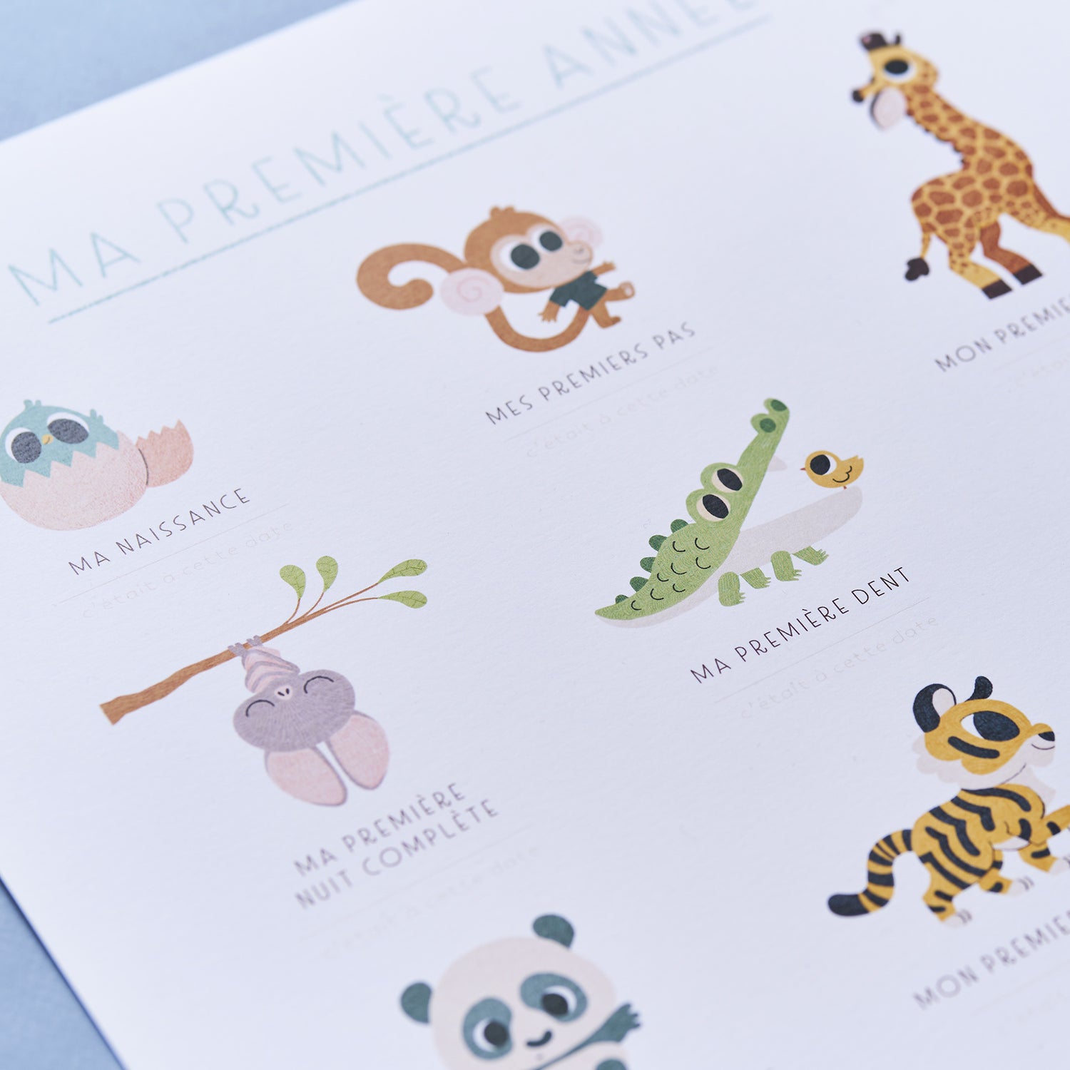 Cadeau de naissance mes premières fois de bébé illustrées sur une affiche décoration de 30x40 cm. Ici zoom sur la naissance avec un poussin qui sort de sa coquille, ma première dent avec un crocodile qui ouvre la bouche, mes premiers pas avec un petit singe amusant.