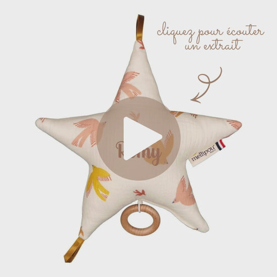 Berceuse bébé Harry Potter, boite à musique étoile Mellipou